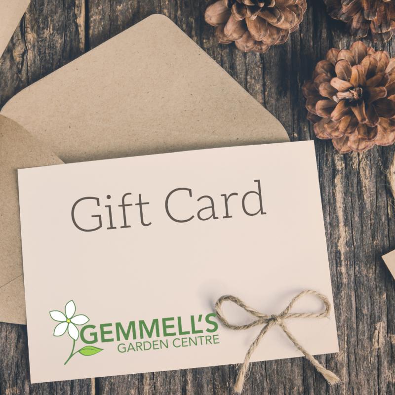 Gift Card - $25